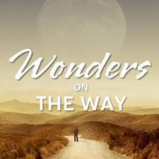 Wonders on The Way